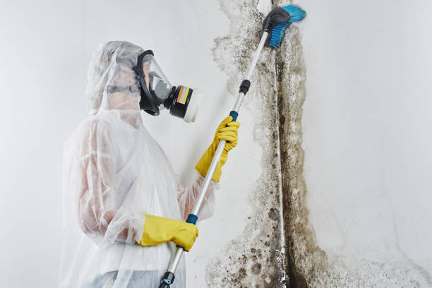 Water Damage Restoration in Freemansburg, PA
