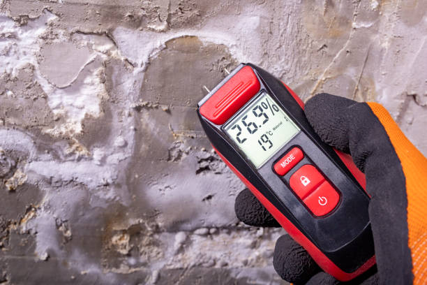 Best Toxic Mold Removal  in Freemansburg, PA